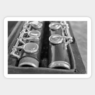 Traditional wooden flute in case Sticker